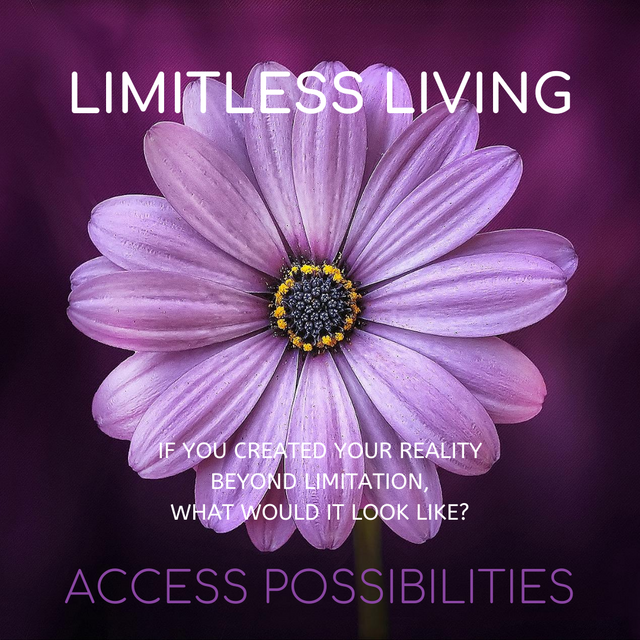 Limitless Living | Access Possibilities