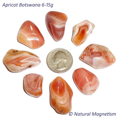Medium Apricot Botswana Agate Tumbled Stones From Africa