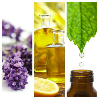 Essential Oils And Aromatherapy Supplies