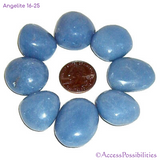 Angelite Tumbled Stones From Peru | Large 16-25 grams | Crystals | Access Possibilities