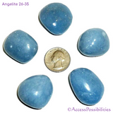 Angelite Tumbled Stones From Peru | X-Large 26-35 grams | Crystals | Access Possibilities