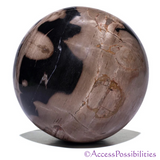Petrified Wood Spheres From Indonesia With Sphere Stand | Healing Crystals | Access Possibilities