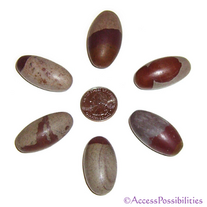 Shiva Lingam Sacred Stones From India - 1-2 Inch | Raw Mineral Specimens | Access Possibilities