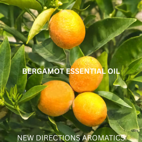New Directions Aromatics Bergamot Essential Oil (Calabrian) - 5 ml | Aromatherapy Essential Oils | Access Possibilities