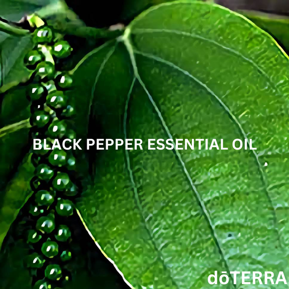 dōTERRA Black Pepper Essential Oil - 5 ml | Aromatherapy Essential Oils | Access Possibilities
