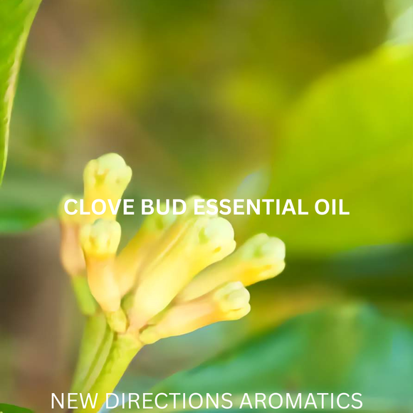 New Directions Aromatics Clove Bud Essential Oil (Indonesia) - 5 ml | Aromatherapy Essential Oils | Access Possibilities