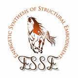 Energetic Synthesis Of Structural Embodiment For Horses | ESSE for Horses with Julie D. Mayo | On-Site Equine Services | Access Possibilities