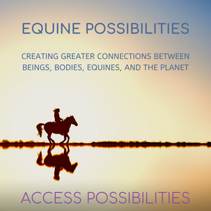 Equine Possibilities | Access Possibilities