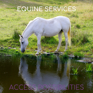 Equine Services with Julie | Health issues, behavioral challenges, trauma or abuse, loss of spirit, off their feed, not acting like themselves, or maybe you simply desire a greater connection with your horse. | Access Possibilities