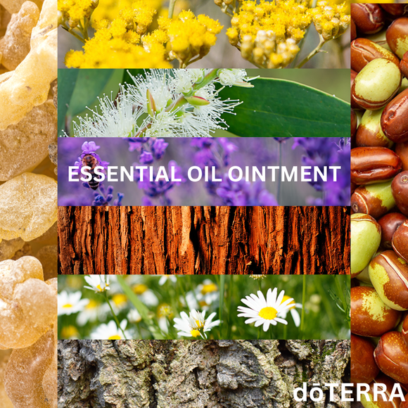 dōTERRA Essential Oil Ointment Proprietary Blend .5 oz | Aromatherapy Essential Oils | Access Possibilities