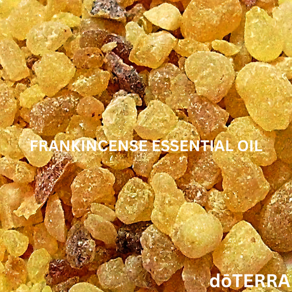 dōTERRA Frankincense Essential Oil - 15 ml | Aromatherapy Essential Oils | Access Possibilities