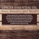 Ginger Essential Oil - 5 ml | Aromatherapy Essential Oil | New Directions Aromatics