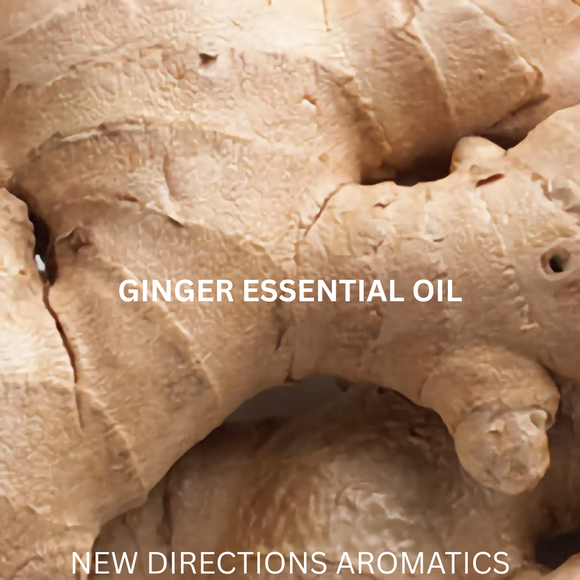 New Directions Aromatics Ginger Organic Essential Oil - 5 ml | Aromatherapy Essential Oils | Access Possibilities