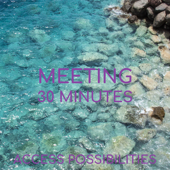 Meeting - 30 Minutes With Julie | By Phone | Networking Or Follow Up | Access Possibilities