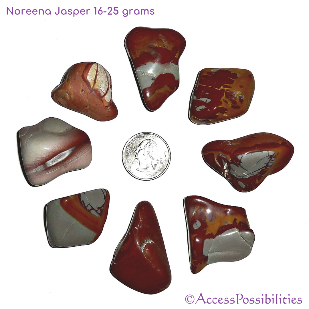 Noreena Jasper Tumbled Stones From Australia Healing Crystals