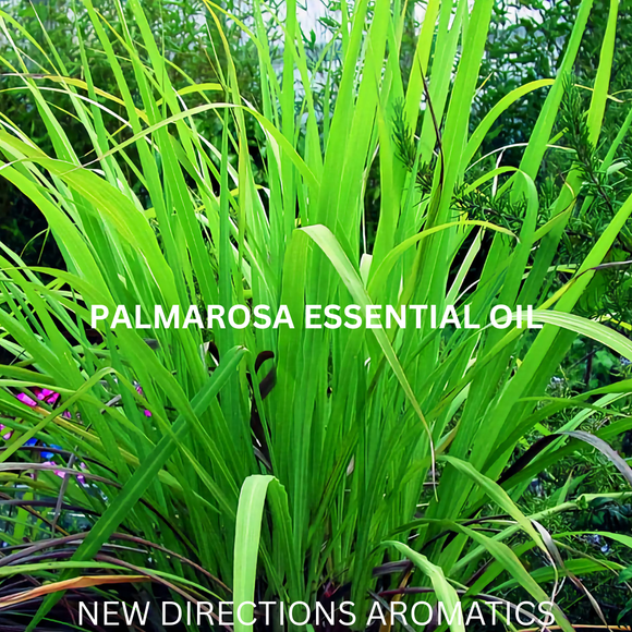 New Directions Aromatics Palmarosa Essential Oil - 5 ml | Aromatherapy Essential Oils | Access Possibilities
