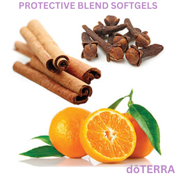 dōTERRA On Guard Protective Blend Softgels Dietary Supplement - 60 Softgels | Aromatherapy Essential Oils | Access Possibilities