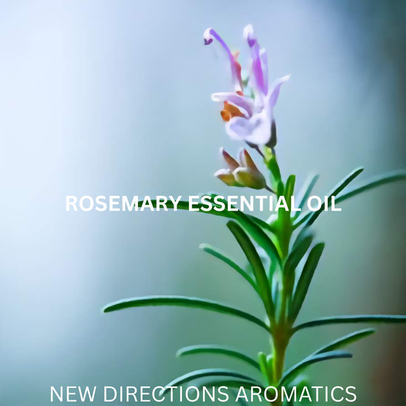 New Directions Aromatics Rosemary Essential Oil (Spanish) - 5 ml | Aromatherapy Essential Oils | Access Possibilities