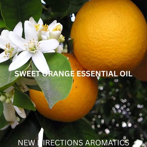 New Directions Aromatics Orange Essential Oil (Sweet) - 5 ml | Aromatherapy Essential Oils | Access Possibilities
