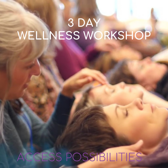 3 Day Wellness Workshop | Holistic Healing | Practitioner Training | Access Possibilities