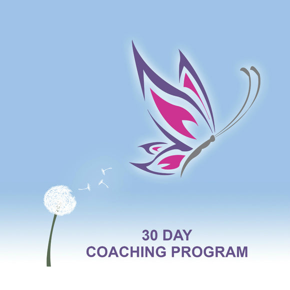 30 Day Coaching Program | Holistic Coaching & Transformation| Life Coaching & Facilitation with Julie D. Mayo | Access Possibilities
