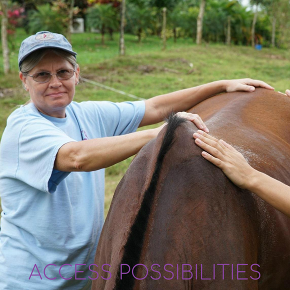 Access Body Processes For Horses | On-Site Equine Services with Julie D. Mayo | Access Possibilities