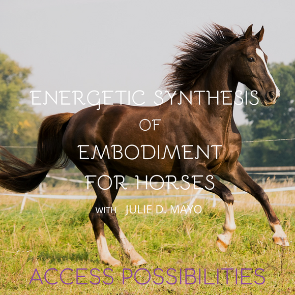 Energetic Synthesis Of Embodiment Session For Horses With Julie D. Mayo | Equine Services | Access Possibilities