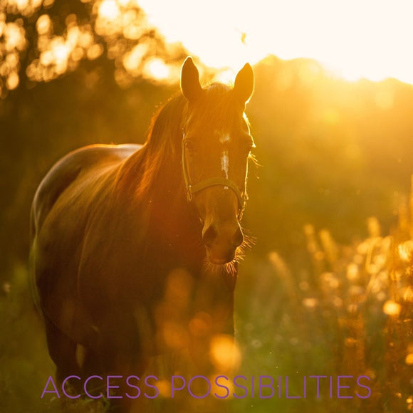 Remote Energy Healing For Horses with Julie D. Mayo | Equine Remote Energy Work | Equine Services | Access Possibilities