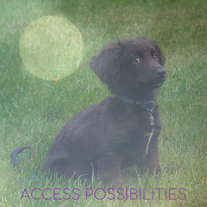 Entity Clearing And Facilitation For Pets And Animals with Julie D. Mayo | Alternative Pet Services | Access Possibilities
