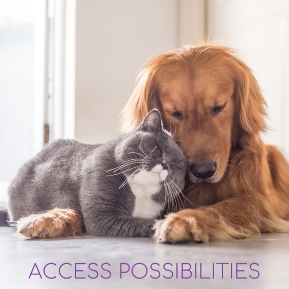 Pet Or Animal Session with Julie | Facilitation For Pets And Animals | Alternative Pet Services | Access Possibilities