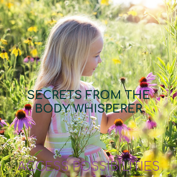 Secrets From The Body Whisperer With Julie D. Mayo | Two-Day Body Whispering Workshop | Access Possibilities