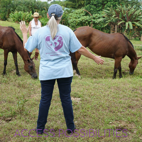 Symphony Session For Horses with Julie D. Mayo | Equine Energy Work And Facilitation | On-Site & Remote Equine Services | Access Possibilities