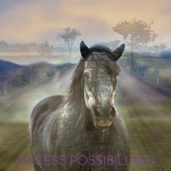 Trip Fee For Equine Services | Alternative Therapy & Equine Services | Access Possibilities
