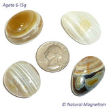 Agate Tumbled Stones | Medium 6-15 grams