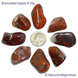 Medium Brecciated Jasper Tumbled Stones From Africa