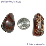X-Large Brecciated Jasper Tumbled Stones From Africa
