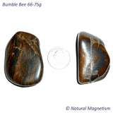 Bumble Bee Tumbled Stones 66-75 grams