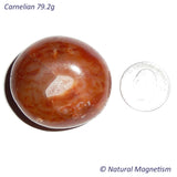 Carnelian Tumbled Stones From Brazil 79.2 grams | Access Possibilities