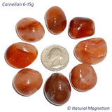 Medium Carnelian Tumbled Stones From Brazil