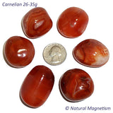 X-Large Carnelian Tumbled Stones From Brazil