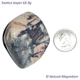 Exotica Jasper Tumbled Stones From Mexico AKA Sci Fi Jasper | 66.9 Grams