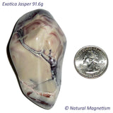 Exotica Jasper Tumbled Stones From Mexico AKA Sci Fi Jasper | 91.6 Grams