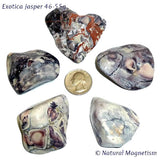 Exotica Jasper Tumbled Stones From Mexico AKA Sci Fi Jasper | Jumbo Plus