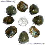Large Labradorite Tumbled Stones AKA Spectrolite