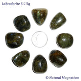 Medium Labradorite Tumbled Stones AKA Spectrolite
