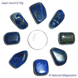 Medium Lapis Lazuli Tumbled Stones From Russia