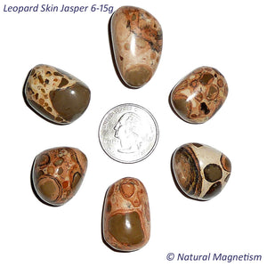 Medium Leopard Skin Jasper Tumbled Stones From Peru AKA Leopard Stone