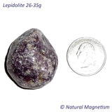 X-Large Lepidolite Tumbled Stones