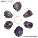 Large Lepidolite Tumbled Stones