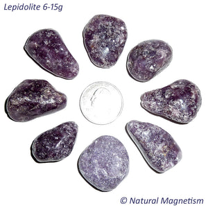 Medium Lepidolite Tumbled Stones
